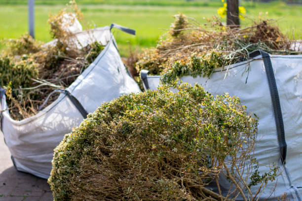 Professional Junk Removal in Merced, CA